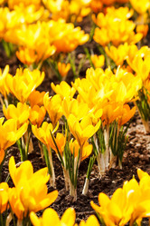 Similar image 2207489