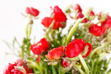 Similar image 2207495