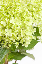 Similar image 2207570