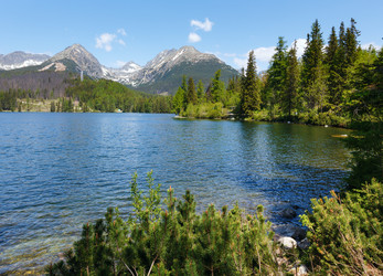 Similar image 2208518