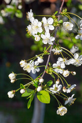 Similar image 2208622