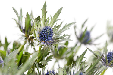 Similar image 2209858