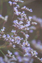 Similar image 2209860