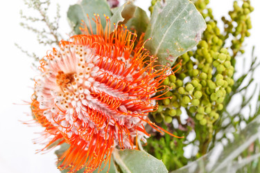 Similar image 2209879