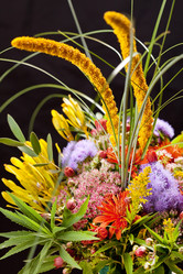 Similar image 2209881