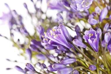 Similar image 2209970