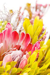 Similar image 2209972