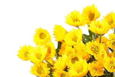 Similar image 2209977