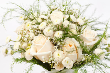 Similar image 2209999