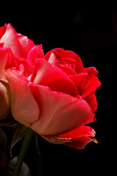 Similar image 2210020