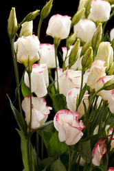 Similar image 2210024