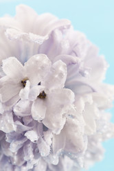 Similar image 2210040