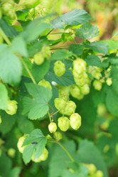 Similar image 2210186