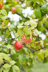 Similar image 2210753