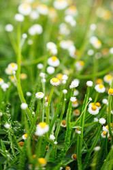 Similar image 2210761