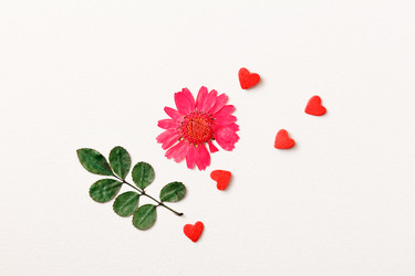 Similar image 2210775