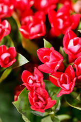 Similar image 2210777