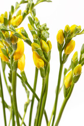 Similar image 2210779