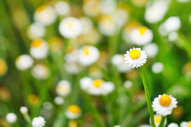 Similar image 2210783