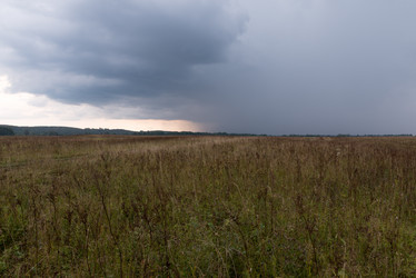 Similar image 2210844