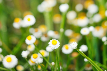 Similar image 2210907