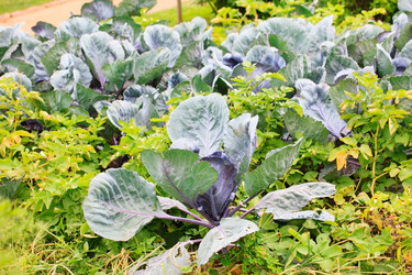 Similar image 2211004