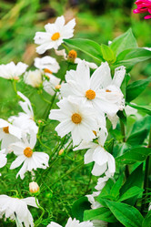 Similar image 2211005