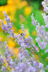 Similar image 2211011