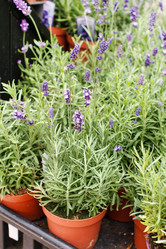 Similar image 2211021