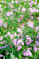 Similar image 2211099