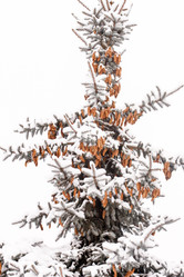 Similar image 2211163