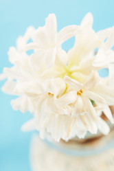 Similar image 2211180