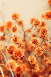 Similar image 2211196