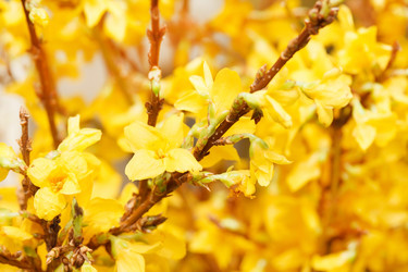 Similar image 2211203