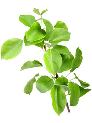 Similar image 2212039