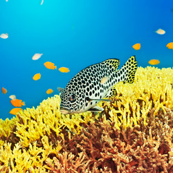 Similar image 2212052