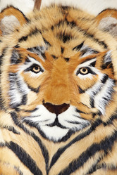 Similar image 2212449