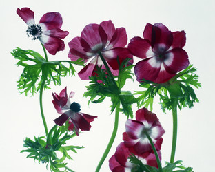 Similar image 2213718