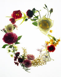 Similar image 2213719