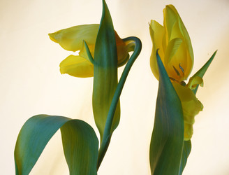 Similar image 2213721