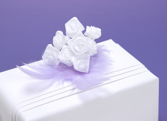 Similar image 2214321