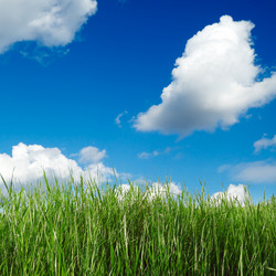 Similar image 2214470