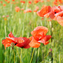 Similar image 2214471