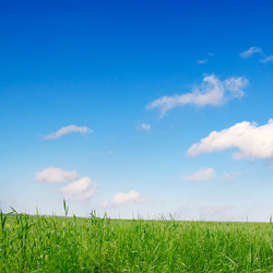 Similar image 2214475