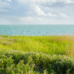 Similar image 2214478