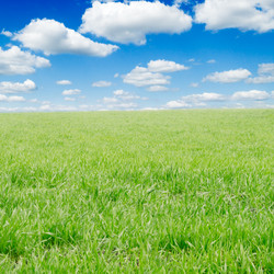 Similar image 2214504