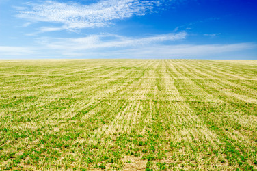 Similar image 2214511