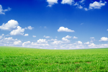 Similar image 2214514