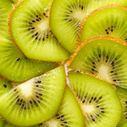 Similar image 2214546