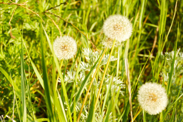 Similar image 2214549